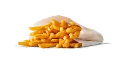 Nashville McShaker Fries (Small)