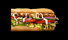 Veggie Patty