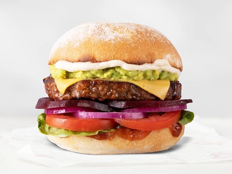 Vegan Beyond Garden Goodness (No Bun)