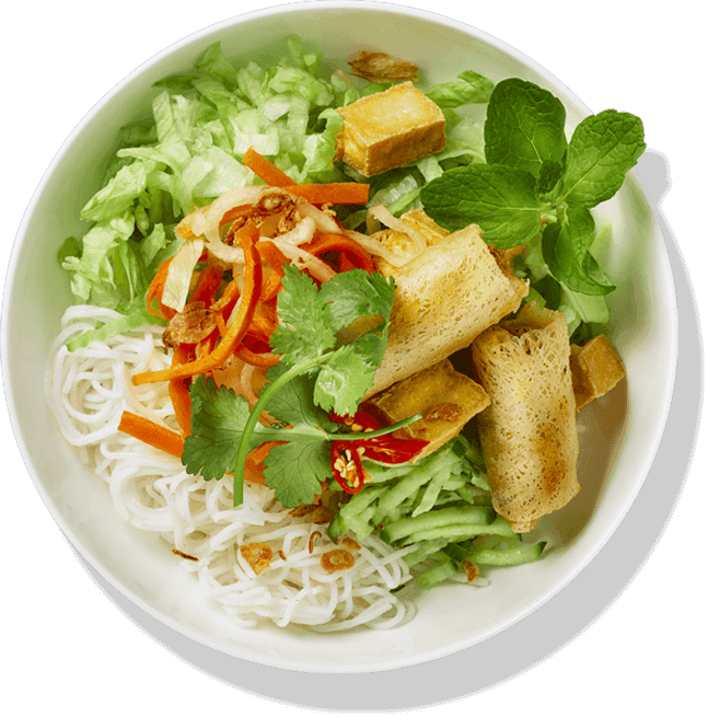 Tofu & Vegetable Spring Rolls