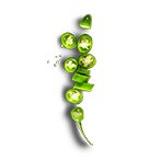 Jalapenos Sliced
